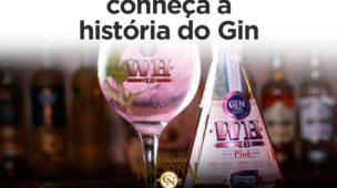 Conheça a história do Gin