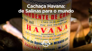 Cachaça Havana: de Salinas para o mundo