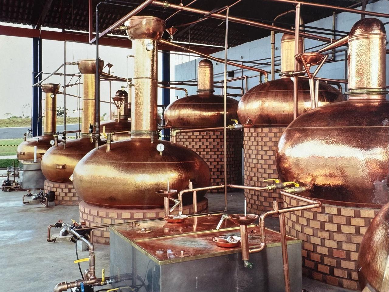 Tonéis de Jequitibá Rosa da produção da Cachaça Benvinda 22 anos em Patos de Minas